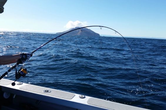 Fishing in Whakatane